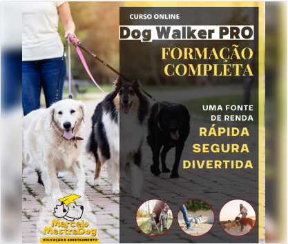 Dog Walker PRO