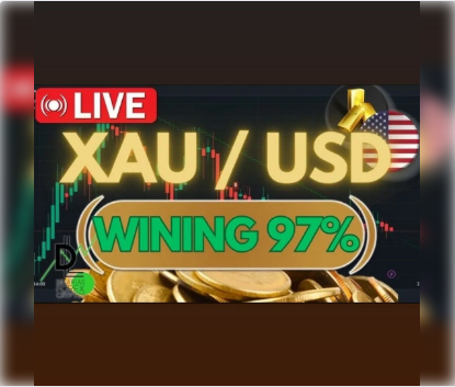 Método disruptivo de mercado forex do Vovô do Gta